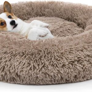 donut dog bed